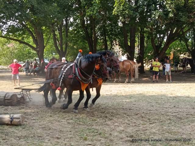 IMG_20260801_161541